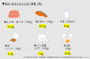イメージ図_食品に含まれるたんぱく質量（例）